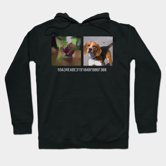 cb4e5208 Hoodie by This Hash Collision Is Not ...